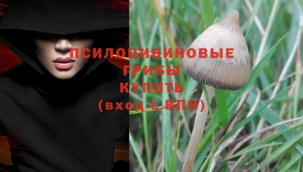 тгк Баксан