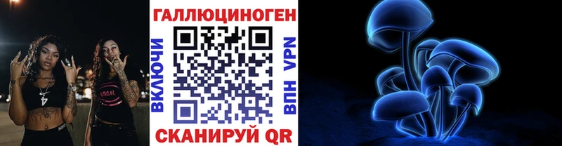 Галлюциногенные грибы мухоморы где можно купить наркотик Петропавловск-Камчатский